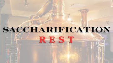 Saccharification Rest: Mastering Step Mash All Grain Brewing