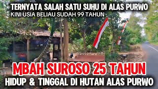 Kisah Mbah Suroso Sang Suhu Di Hutan Alas Purwo  Lebih Dari 25 Tahun Tinggal Di Alas Purwo