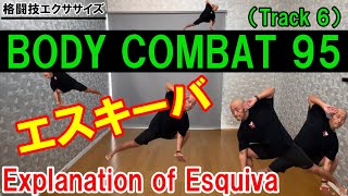 レズミルズ ボディコンバット95使用曲・動画・歌詞リスト[LES