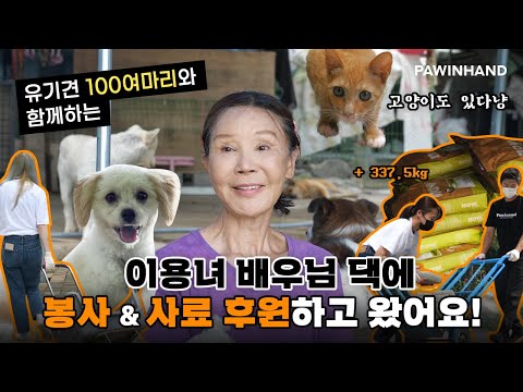 Living with 100 Rescued Animals: A Visit to Actress Lee Yong-nyeo's Home | Lee Yong-nyeo’s Life U...