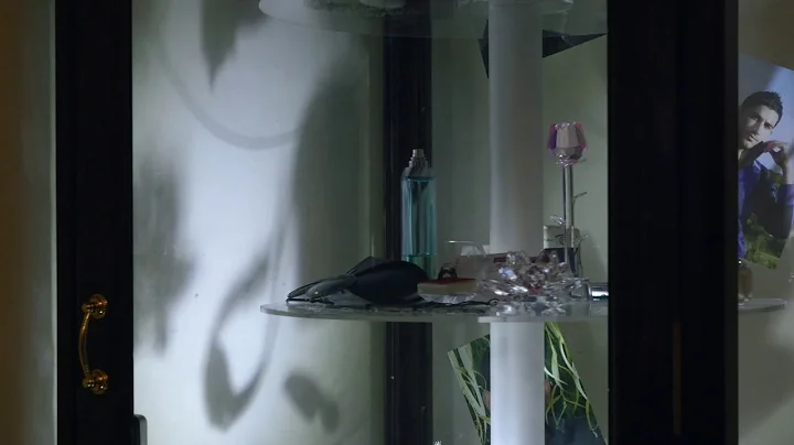 Sandra Schfer. Trailer (Constructed Futures: Haret...