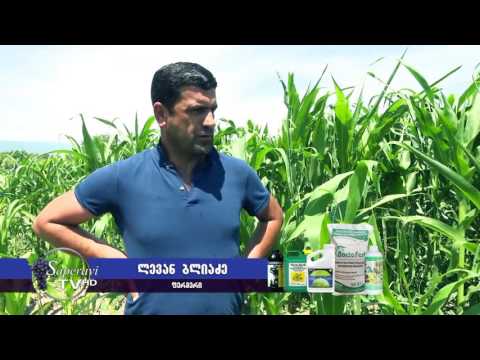 კომპანია \"ჯეოფერტი\"