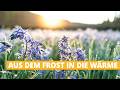 Wetter heute: Temperatursprung von 20 Grad - Aus dem Frost in die Wärme