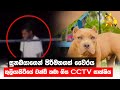         cctv   hiru news