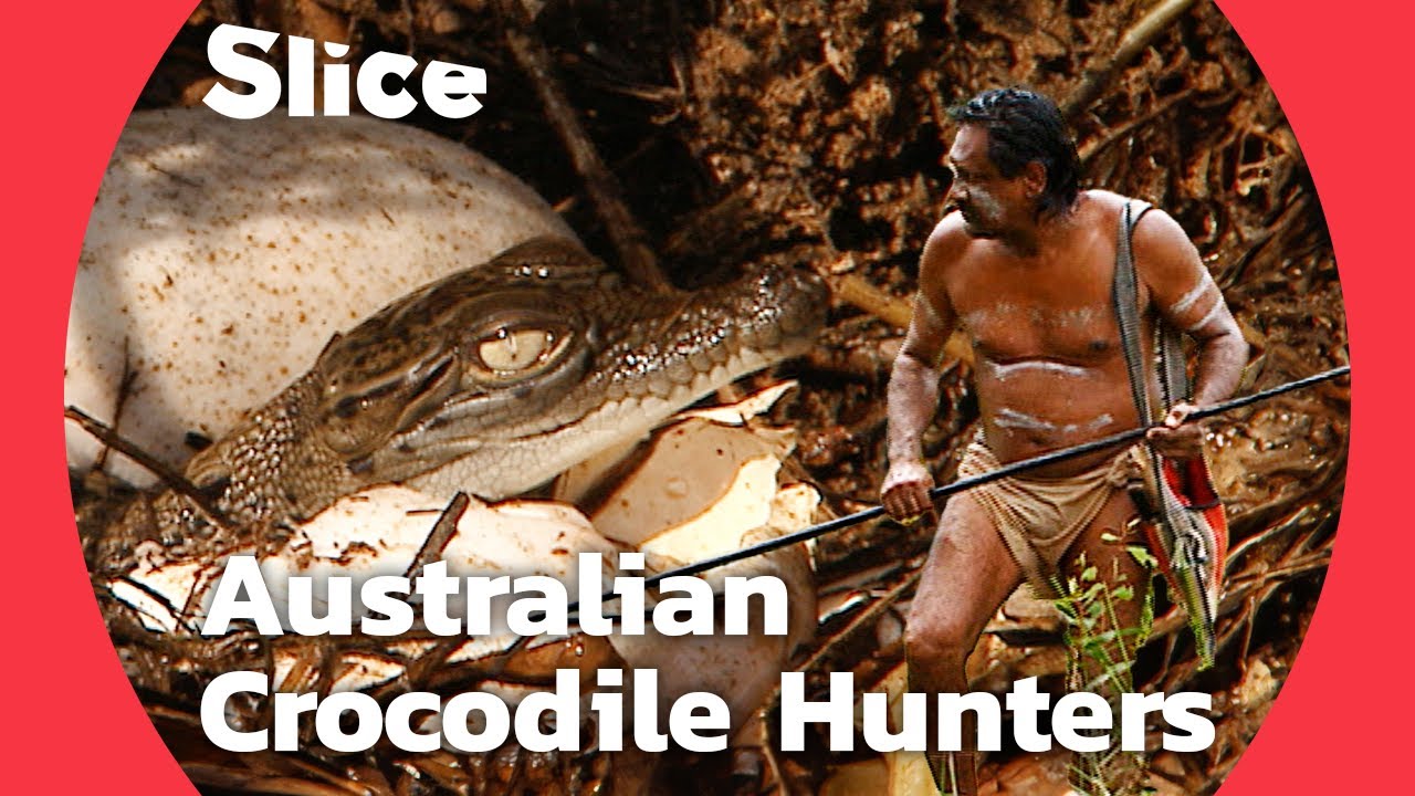Documentary backdrop image for Fight the Crocodile: The Path to Manhood in the Australian Bush (2024)