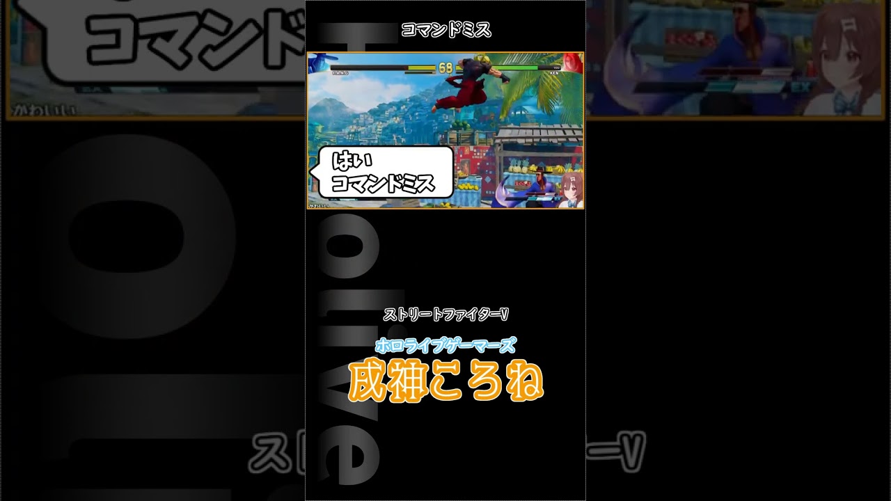 はい、コマンドミス