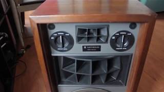 National Panasonic SB 400 Vintage Speaker