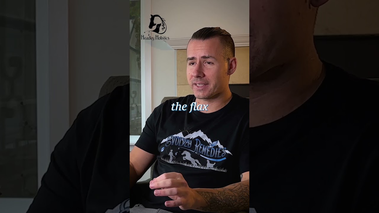 Holistic Horse Supplements 2023  