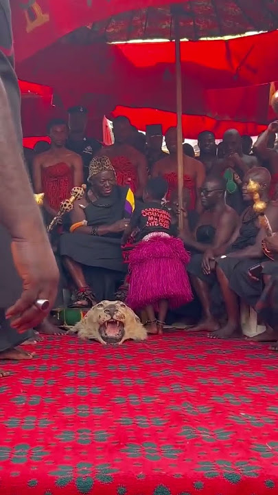 Wonder Boy meets Otumfuo Asantehene 👑