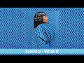 Saandia - What If (Audio)