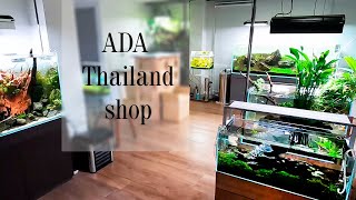 Магазин ADA Thailand: прекрасные аквариумы в Бангкоке