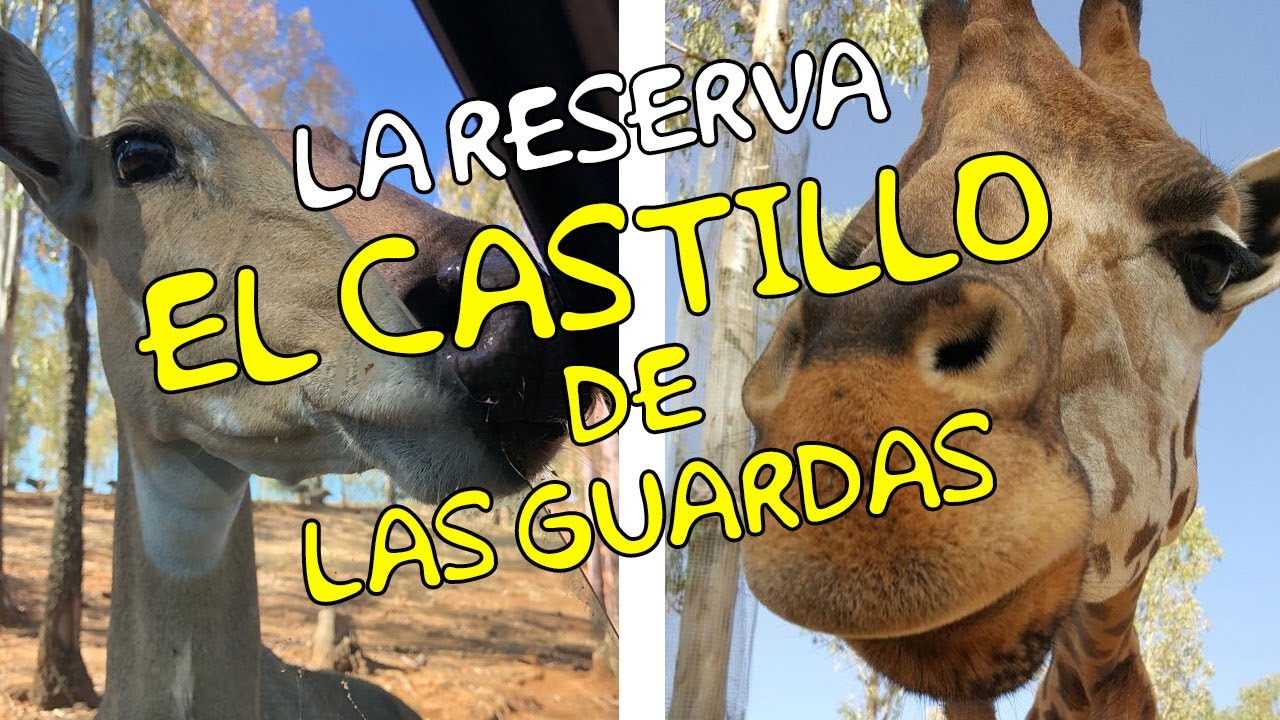 Reserva del CASTILLO DE LAS GUARDAS 🦒🦓 (Sevilla)
