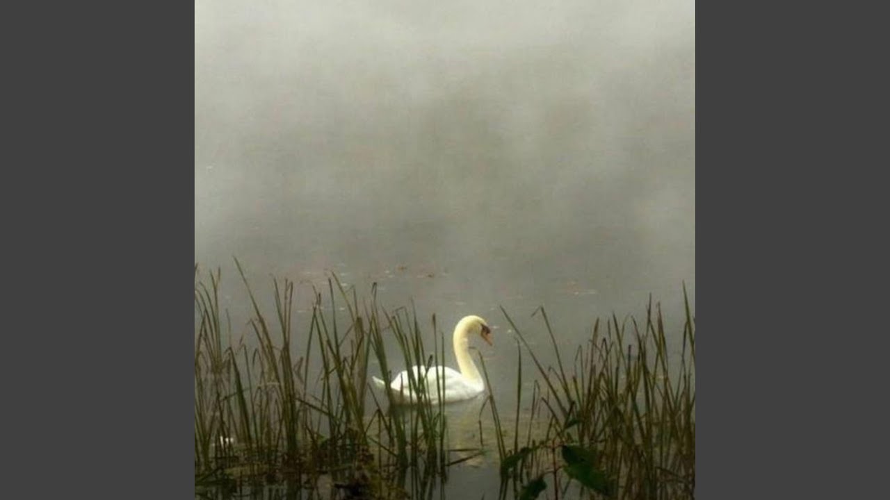 Watch ginza on YouTube Watch ginza on YouTube