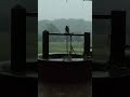 Thunder Lightening From Western Ghats - Kali Tiger Reserve #rain #monsoon