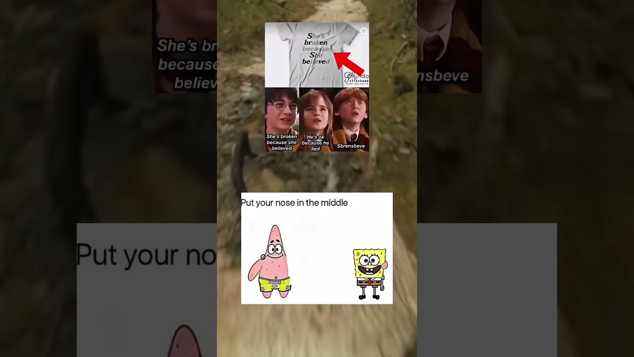 6a Meme Zyxabc Funnyimages Memesdaily
