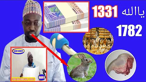 kham kham you ym . HABIB Thiam bnnn skr ci khouray...