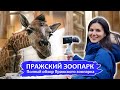 Пражский Зоопарк | Полный обзор Пражского зоопарка!