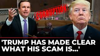 'This Corruption Scheme Has No Limits...' Democrats Torch Trump's $2.2B Crypto Deal | US News