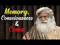Memory, Consciousness & Coma [Full Talk], Sadhguru at Harvard Medical School