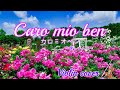 Caro mio ben いとしい女(ひと)よ / カロ・ミオ・ベン【violin演奏】