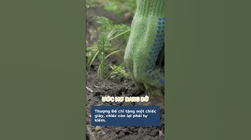 Câu Chuyện Đôi Giày Thay Đổi Cuộc Đời Ronald Reagan: Nỗ Lực và Thượng Đế