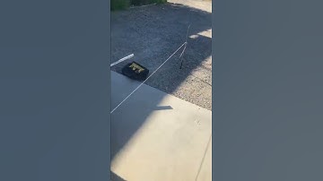 Save $100 on alignment using only string and concrete stakes.