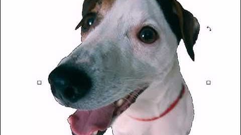 SignLab - Training Tutorial Plugin | Tripa