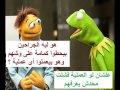 الضفدع كيرمت 6