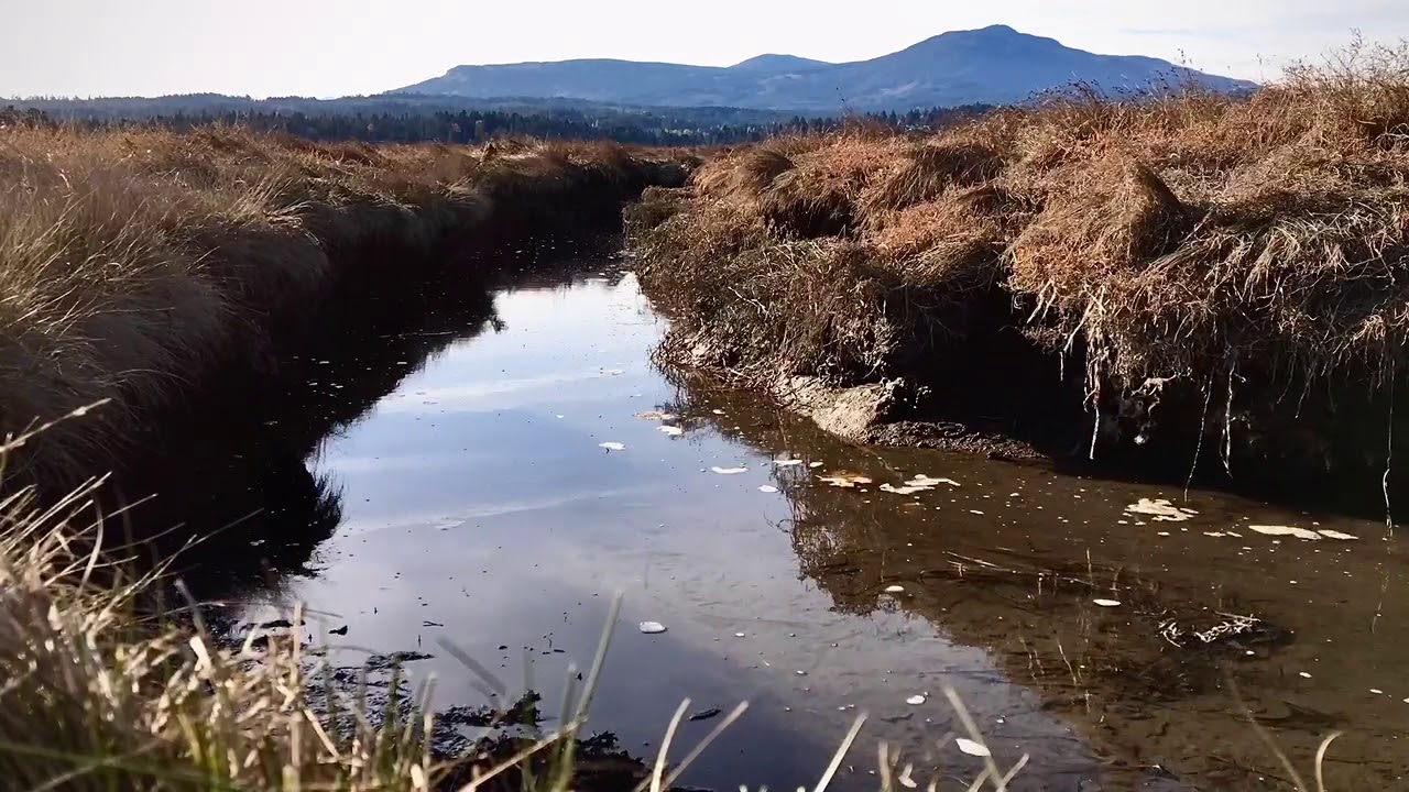 Tidelapse - Tidal channels in the Nanaimo River estuary