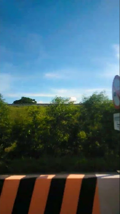 #Zs garden #sky #view #road #plants #youtube #tiktok #fb #plants #shortvideo #shorts