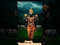 స్వామి సేవలో అలిసిపోయినా ఆనందమే