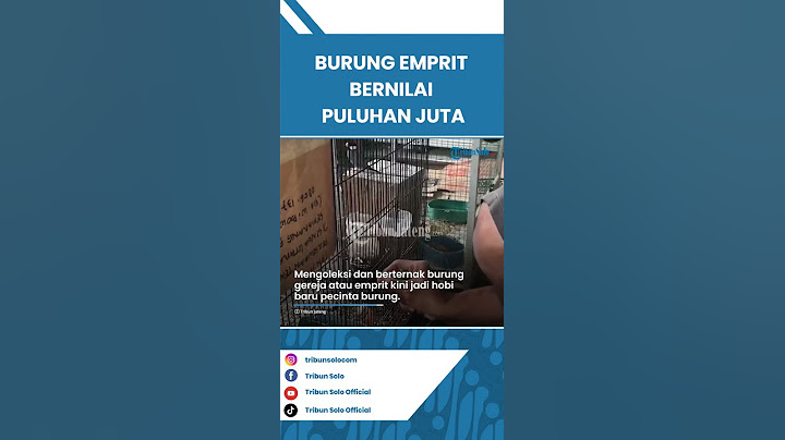 Burung Emprit yang Dianggap Hama, Disulap Pemuda Asal Semarang hingga Bernilai Puluhan Juta
