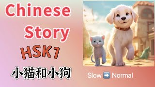 Chinese Listening Practice HSK1/ The Kitten and The Puppy/ Easy Chinese Story