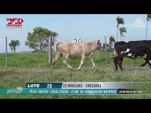 LOTE 20