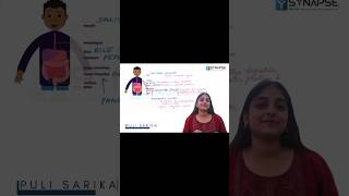 Synapse - Learnloop | class 11 | Digestion &amp; Absorption | Digestive Enzymes #cbse7thbiology