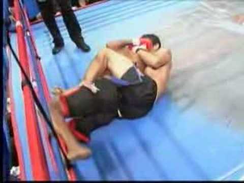 Bonecrunchfighti...  - Fighter falls out of ring