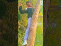 Instagram viral videos 😂#comdey#mems#instagram #shorts
