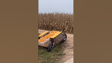 Harvest season #cornharvest #One machine can be used for multiple purposes, saving time, effort and
