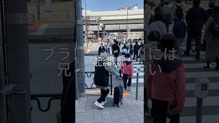 そろそろ姉、泣きますね