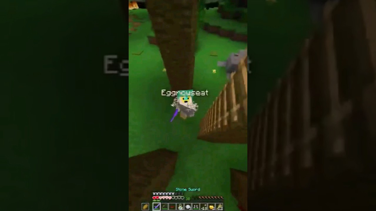 Close Call in Minecraft Hunger Games 