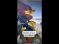 Bladderwrack