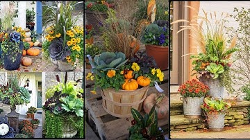 Fall Container Gardening Inspiration Idea| Autumn Elegance with Pumpkins planter as the centerpiece.