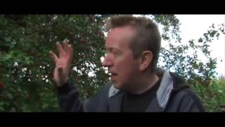The Amazing Hawthorne Berry & How To Make Hedge Jam