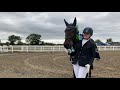 Petplan Equine Summer Area Festival Medium Silver Freestyle Champion - Lucie Stokoe