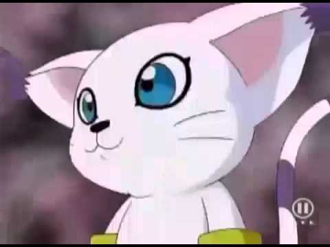 Gatomon In Heat