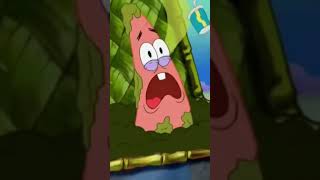 You stupid ni-
