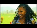 Best Wollo Traditional Music New Ethiopian Music New Gojjam Music New Gonder Music Best Wollo Traditional Music New Ethiopian Music New Gojjam Music New Gonder Music