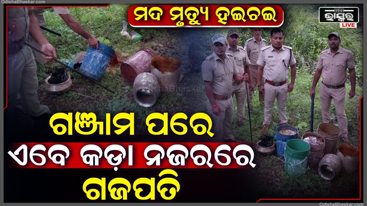 ଆକ୍ସନମୋଡରେ ଅବକାରୀ ବିଭାଗ, ଗଞ୍ଜାମ ପରେ ଏବେ ପଡିଛି ଗଜପତିର ପାଳି, ଗଳିକନ୍ଦିରେ ହେଉଛି ଚଢାଉ