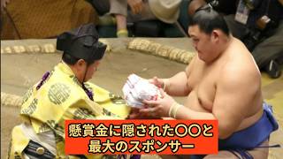 大相撲の懸賞金1本7万円の真実！力士が土俵で受け取る現金と引退後の積立金システムを完全解剖