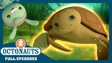 @Octonauts - 🌊 The Loggerhead Sea Turtle 🐢 | Season 3 | Full Episodes | Cartoons for Kids